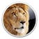 Apple Mac OS X Lion 10.7.5 Supplemental Update logo
